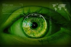 tp钱包官方APP下载|眼球扫描项目 Worldcoin 以 WLD 代币代替 USDC 奖励运营商