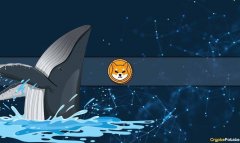 tokenpocket官网|大规模柴犬（SHIB）交易：鲸鱼移动数万亿美元