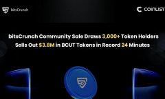 TokenPocket钱包安卓下载|BitsCrunch BCUT 社区义卖在 24 分钟内就售罄，筹集了 385 万美元