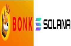 tp钱包app苹果版|BONK 代币狂潮：Solana Saga 手机从失败转变为现象