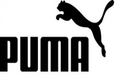 tp钱包官网入口|Puma 在加密货币寒冬中坚韧地致力于 Web3 技术