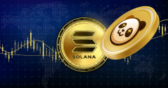 tp钱包app苹果版|Solana (SOL) 竞争对手，估值仅为 0.008 美元，在预售阶段推出 DeFi 钱包