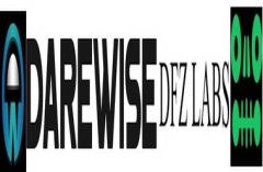 tp钱包官网下载|Darewise Entertainment 与 DFZ Labs 强强联手